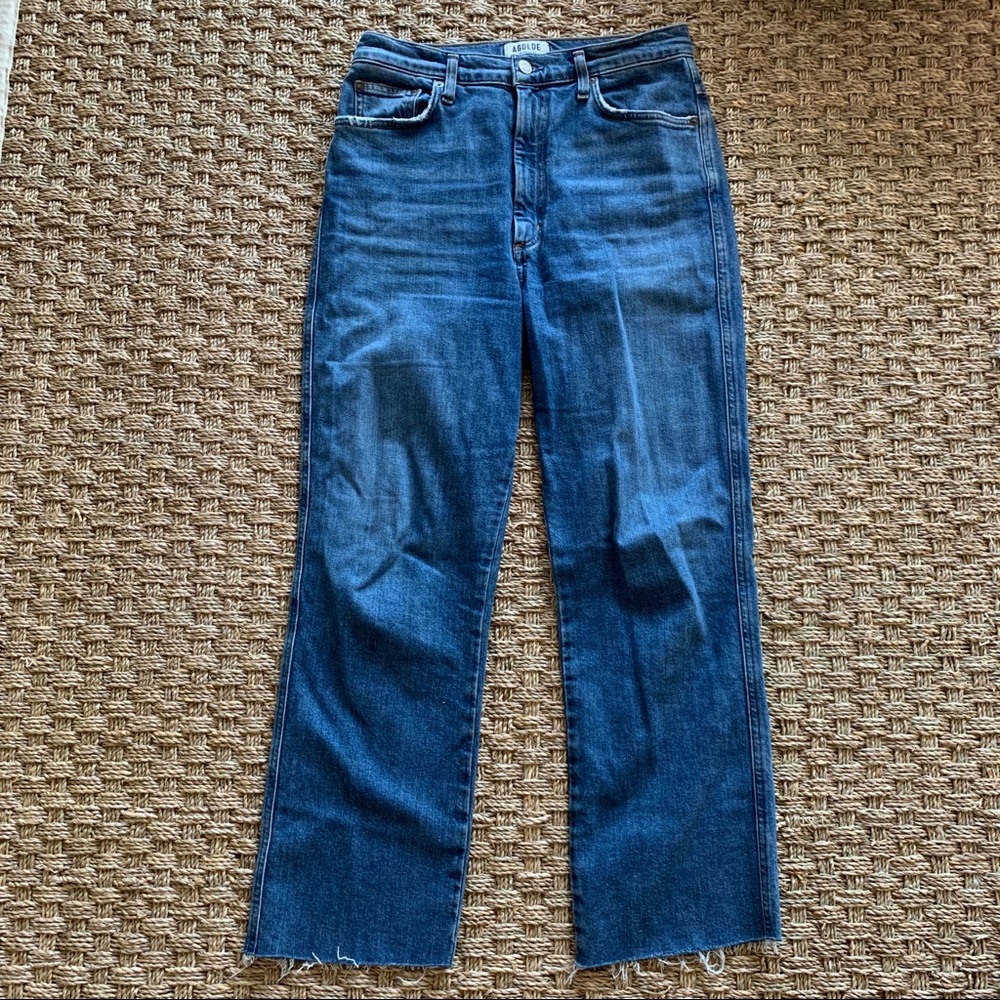 AGOLDE pinch waist jean